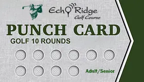 10 Round Punchcard